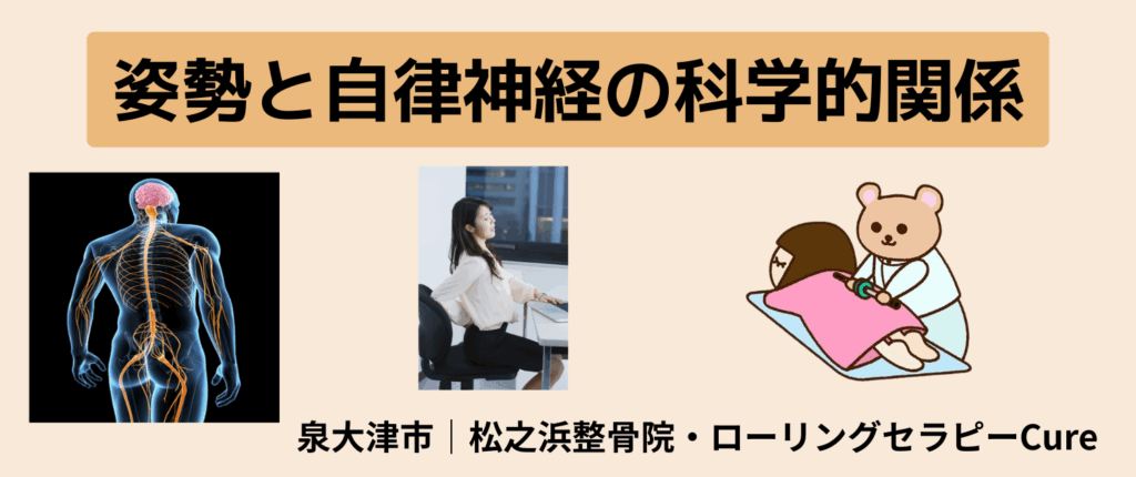 11月の健康コラム③｜姿勢と自律神経の科学的関係｜泉大津市で姿勢改善なら松之浜整骨院