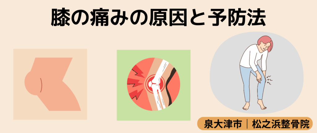 膝の痛みの原因と予防法｜泉大津市松之浜整骨院