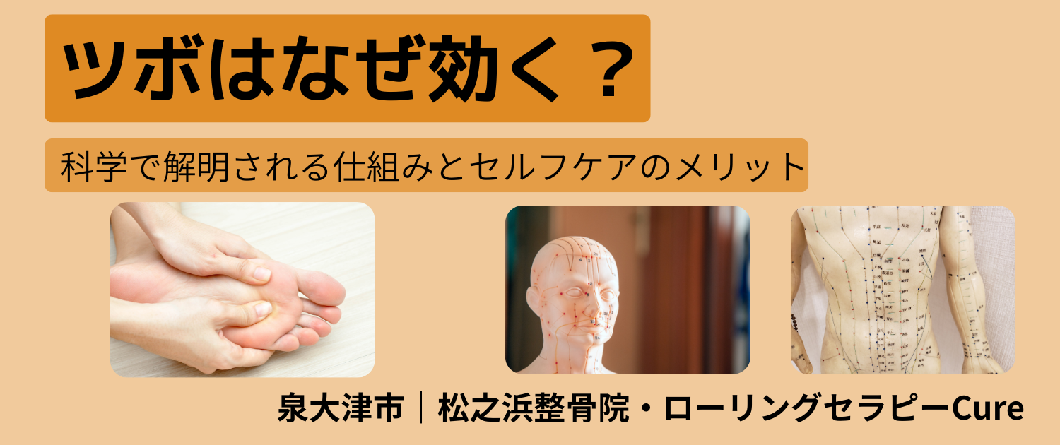 12月の健康コラム①｜ツボはなぜ効く？科学で解明される仕組みとセルフケアのメリット｜鍼灸・東洋医学の最新知見