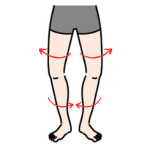 股関節が外向きのO脚