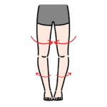 股関節が内向きのO脚